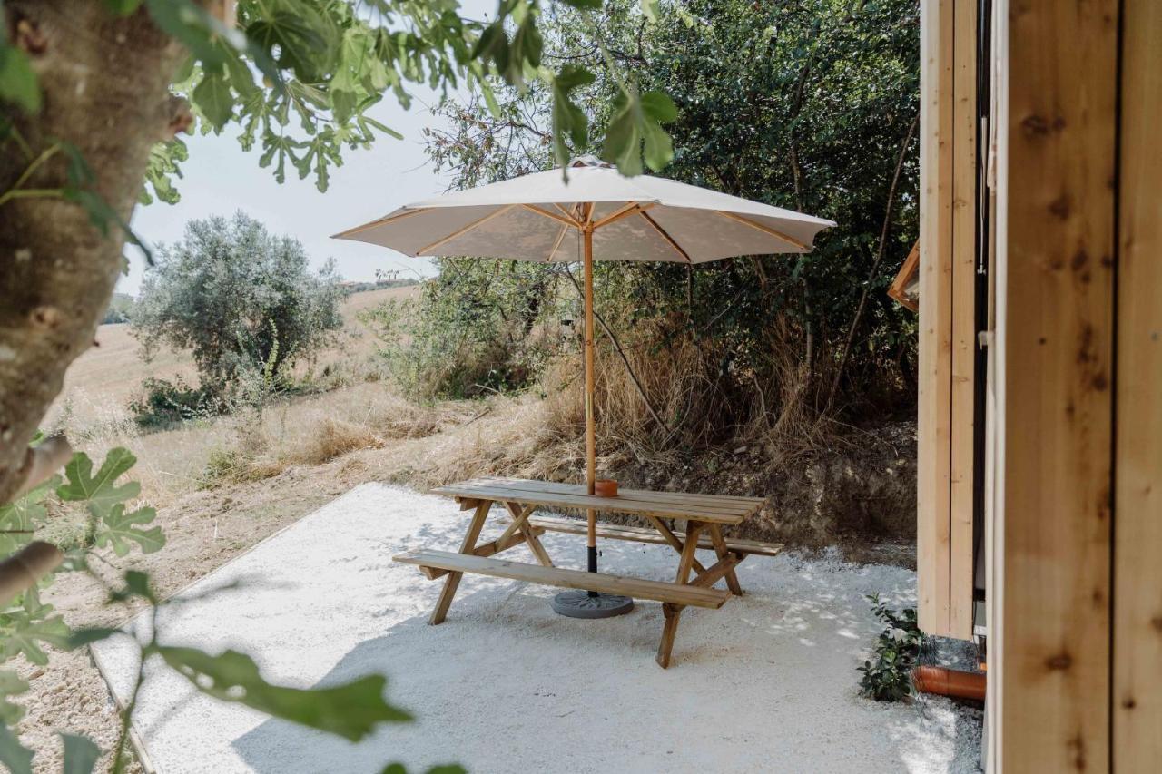 Agriturismo Qui Voglio Monte Roberto Exteriér fotografie