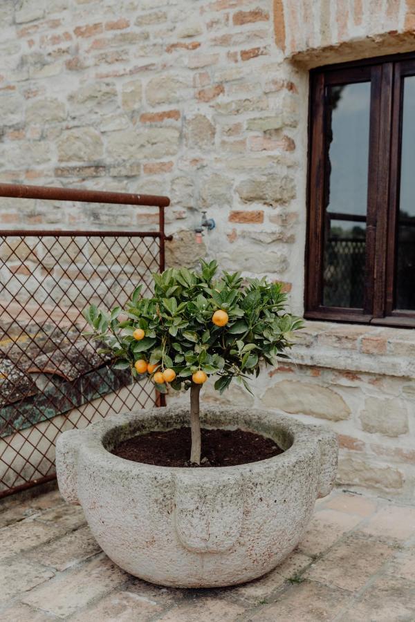 Agriturismo Qui Voglio Monte Roberto Exteriér fotografie